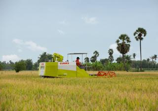Sklízecí mlátičky Claas Crop Tiger 30 Terra Trac