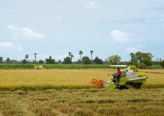 Sklízecí mlátičky Claas Crop Tiger 40 Terra Trac