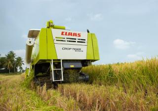 Sklízecí mlátičky Claas Crop Tiger 40 Terra Trac