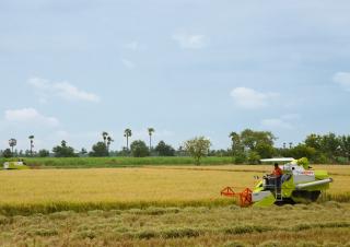 Sklízecí mlátičky Claas Crop Tiger 40 Terra Trac