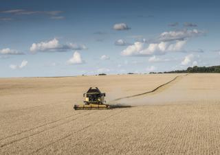 Sklízecí mlátičky New Holland CX6.80