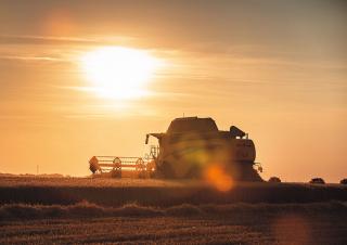 Sklízecí mlátičky New Holland CX7.80   