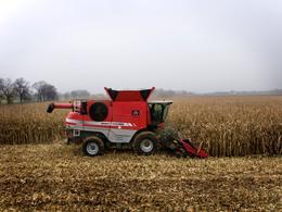 Sklízecí mlátičky Massey Ferguson Fortia 9795