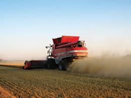 Sklízecí mlátičky Massey Ferguson Fortia 9795