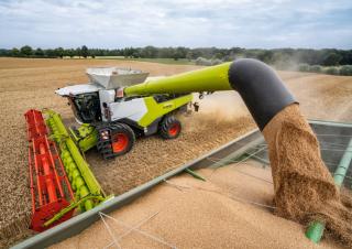 Sklízecí mlátičky Claas Lexion 6900 