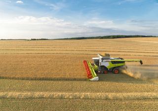 Sklízecí mlátičky Claas Lexion 8900 TerraTrac 