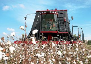 Sklízecí mlátičky Case IH Module Express 635