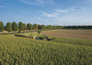 Sklízecí řezačky - pohon na 4 kola New Holland FR 780
