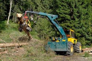 Lesní technika Speciální lesní traktory HSM 904 ZL