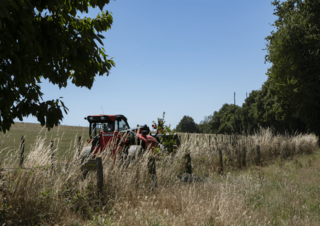 Teleskopické manipulátory Manitou MLT 630-115 D Elite