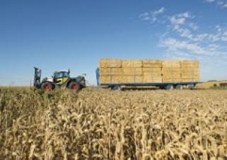 Teleskopické manipulátory Claas Scorpion 6035