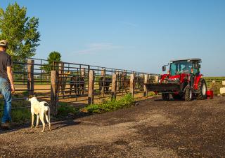 Traktory 4WD Massey Ferguson MF 1765 M
