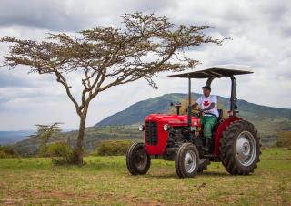 Traktory 4WD Massey Ferguson MF 35