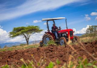 Traktory 4WD Massey Ferguson MF 35