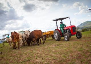 Traktory 4WD Massey Ferguson MF 35
