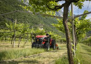 Traktory 4WD Massey Ferguson MF 3GE.85 