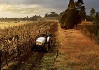 Traktory 4WD Lamborghini RV.80 DT Inversore Meccanico