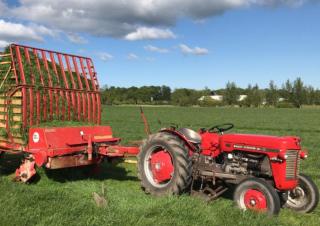 Traktory se zadním náhonem Massey Ferguson 30