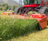 Čelní diskové žací lišty s kondicionérem Massey Ferguson 9313 S