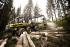 Lesní technika Harvestory Ponsse Bear