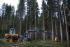 Lesní technika Harvestory Ponsse Beaver