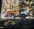 Kloubové dampry Liebherr TA 230 Litronic