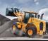 Kolové nakladače Hyundai HL955XT
