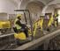 Minirypadla Wacker Neuson 803