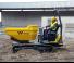 Pásové dumpery Wacker Neuson DT23