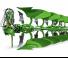 Pluhy Amazone Cayros XMS 4-950