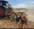 Radličkové podmítače Agrisem Smartplow mounted 3,00