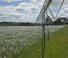 Zavlažovací technologie Ramena pro postřikovače Bauer Irrigation Centerstar 203E