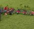 Rotační obraceče Massey Ferguson TD1028X TRC