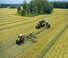 Rotační shrnovače Claas Liner 4800 Trend 