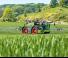 Samojízdné postřikovače Fendt Rogator 665 