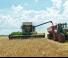 Sklízecí mlátičky Fendt 5255 L MCS Rice
