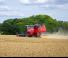 Sklízecí mlátičky Massey Ferguson Activa 7342