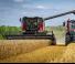 Sklízecí mlátičky Massey Ferguson Activa 7344-MCS