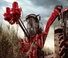 Sklízecí mlátičky Case IH Astoft 9900 DA