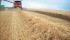 Sklízecí mlátičky Case IH Axial Flow 8120