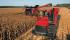 Sklízecí mlátičky Case IH Axial Flow 9120