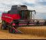 Sklízecí mlátičky Massey Ferguson Beta 7370