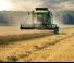Sklízecí mlátičky DEUTZ-FAHR C 6205 TS Farmline