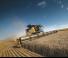 Sklízecí mlátičky New Holland CR9.90 SCR