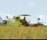 Sklízecí mlátičky Claas Crop Tiger 30 Terra Trac