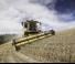 Sklízecí mlátičky New Holland CX5.90 Laterale 