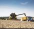 Sklízecí mlátičky New Holland CX6.80