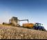 Sklízecí mlátičky New Holland CX7.80 Elevation