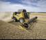 Sklízecí mlátičky New Holland CX8.90   