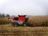 Sklízecí mlátičky Massey Ferguson Fortia 9795